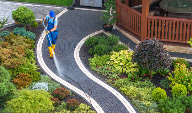 Best Local Pressure Washing Services  in Timberne, LA